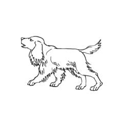 Dibujo para colorear: Cachorro (Animales) #2964 - Dibujos para Colorear e Imprimir Gratis