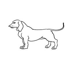 Dibujo para colorear: Cachorro (Animales) #2979 - Dibujos para Colorear e Imprimir Gratis