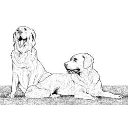 Dibujo para colorear: Cachorro (Animales) #2992 - Dibujos para Colorear e Imprimir Gratis