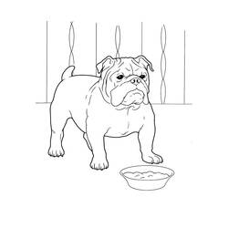 Dibujo para colorear: Cachorro (Animales) #3007 - Dibujos para Colorear e Imprimir Gratis