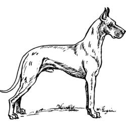 Dibujo para colorear: Cachorro (Animales) #3026 - Dibujos para Colorear e Imprimir Gratis