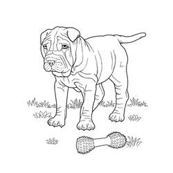 Dibujo para colorear: Cachorro (Animales) #3044 - Dibujos para Colorear e Imprimir Gratis