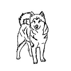 Dibujo para colorear: Cachorro (Animales) #3048 - Dibujos para Colorear e Imprimir Gratis