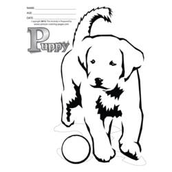 Dibujo para colorear: Cachorro (Animales) #3050 - Dibujos para Colorear e Imprimir Gratis