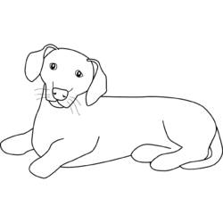 Dibujo para colorear: Cachorro (Animales) #3059 - Dibujos para Colorear e Imprimir Gratis
