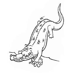 Dibujo Caimán (Animales) #210199 para imprimir y colorear