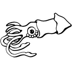 Dibujo Calamar (Animales) #208862 para imprimir y colorear