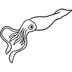 Dibujo Calamar (Animales) #208872 para imprimir y colorear