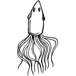 Dibujo Calamar (Animales) #208877 para imprimir y colorear
