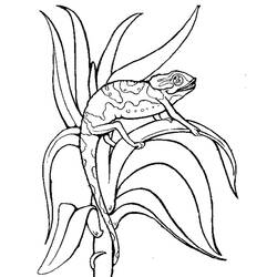 Dibujo para colorear: Camaleón (Animales) #1420 - Dibujos para Colorear e Imprimir Gratis