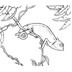 Dibujo Camaleón (Animales) #206740 para imprimir y colorear