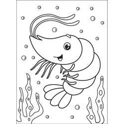 Dibujos para colorear: Camarón - Dibujos para Colorear e Imprimir Gratis