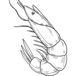 Dibujo Camarón (Animales) #208569 para imprimir y colorear