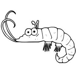 Dibujo Camarón (Animales) #208570 para imprimir y colorear