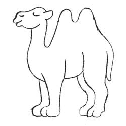 Dibujos para colorear: Camello - Dibujos para colorear