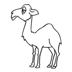 Dibujo Camello (Animales) #205467 para imprimir y colorear