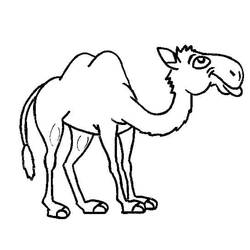 Dibujo Camello (Animales) #205485 para imprimir y colorear