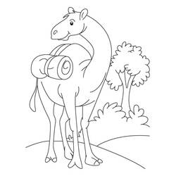 Dibujo Camello (Animales) #205500 para imprimir y colorear
