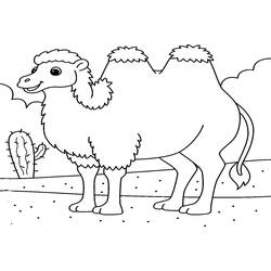 Dibujo Camello (Animales) #205512 para imprimir y colorear