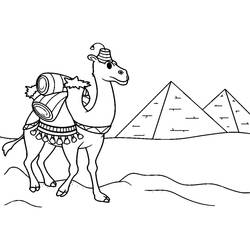 Dibujo Camello (Animales) #205513 para imprimir y colorear