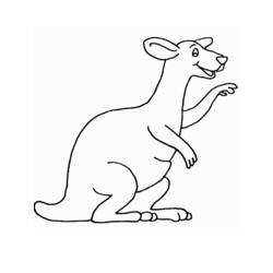 Dibujo para colorear: Canguro (Animales) #9120 - Dibujos para Colorear e Imprimir Gratis