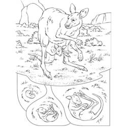 Dibujo para colorear: Canguro (Animales) #9151 - Dibujos para Colorear e Imprimir Gratis