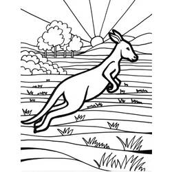 Dibujo para colorear: Canguro (Animales) #9161 - Dibujos para Colorear e Imprimir Gratis