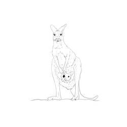 Dibujo para colorear: Canguro (Animales) #9228 - Dibujos para Colorear e Imprimir Gratis