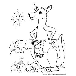 Dibujo para colorear: Canguro (Animales) #9282 - Dibujos para Colorear e Imprimir Gratis
