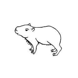 Dibujo para colorear: Capibara (Animales) #207568 - Dibujos para Colorear e Imprimir Gratis