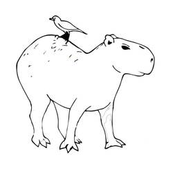 Dibujo para colorear: Capibara (Animales) #207575 - Dibujos para Colorear e Imprimir Gratis