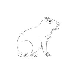 Dibujo para colorear: Capibara (Animales) #207598 - Dibujos para Colorear e Imprimir Gratis