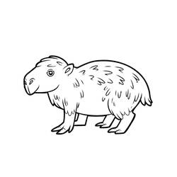 Dibujo Capibara (Animales) #207602 para imprimir y colorear