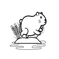 Dibujo para colorear: Capibara (Animales) #207606 - Dibujos para Colorear e Imprimir Gratis