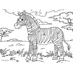 Dibujo para colorear: Cebra (Animales) #12943 - Dibujos para Colorear e Imprimir Gratis