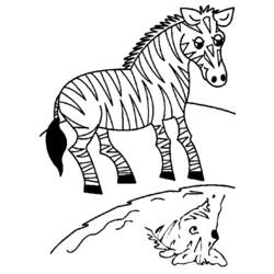 Dibujo para colorear: Cebra (Animales) #13013 - Dibujos para Colorear e Imprimir Gratis