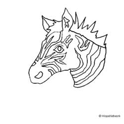 Dibujo para colorear: Cebra (Animales) #13017 - Dibujos para Colorear e Imprimir Gratis