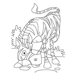 Dibujo para colorear: Cebra (Animales) #13024 - Dibujos para Colorear e Imprimir Gratis