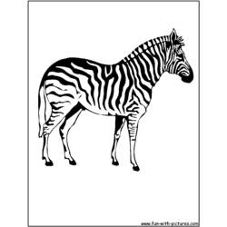 Dibujo para colorear: Cebra (Animales) #13037 - Dibujos para Colorear e Imprimir Gratis
