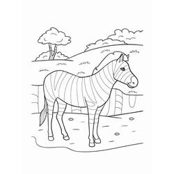 Dibujo Cebra (Animales) #197146 para imprimir y colorear