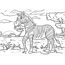 Dibujo Cebra (Animales) #197185 para imprimir y colorear