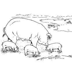 Dibujo para colorear: Cerdo (Animales) #3661 - Dibujos para Colorear e Imprimir Gratis