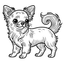 Dibujo Chihuahua (Animales) #219786 para imprimir y colorear