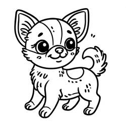 Dibujos para colorear: Chihuahua - Dibujos para Colorear e Imprimir Gratis