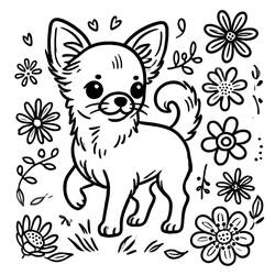 Dibujo Chihuahua (Animales) #219797 para imprimir y colorear