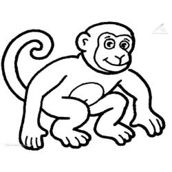 Dibujo para colorear: Chimpancé (Animales) #2788 - Dibujos para Colorear e Imprimir Gratis