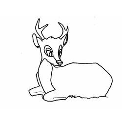 Dibujo Ciervo (Animales) #191072 para imprimir y colorear