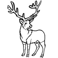 Dibujo Ciervo (Animales) #191077 para imprimir y colorear