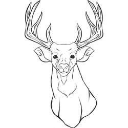 Dibujo Ciervo (Animales) #191078 para imprimir y colorear