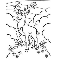 Dibujo Ciervo (Animales) #191084 para imprimir y colorear